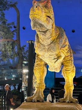 福井県立恐竜博物館に投稿された画像（2024/9/27）