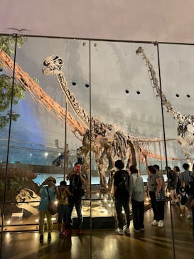 福井県立恐竜博物館に投稿された画像（2024/9/27）