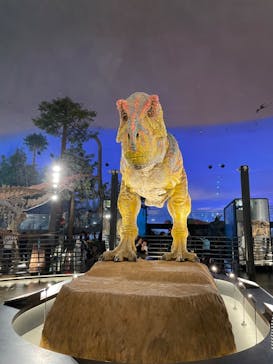福井県立恐竜博物館に投稿された画像（2024/9/27）