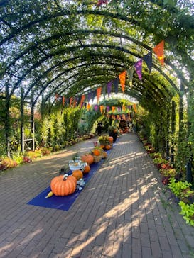 横浜イングリッシュガーデンに投稿された画像（2024/9/27）