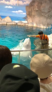名古屋港水族館に投稿された画像（2024/9/27）