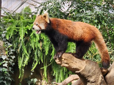 神戸どうぶつ王国に投稿された画像（2024/9/27）