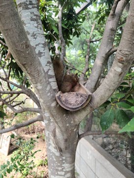 神戸どうぶつ王国に投稿された画像（2024/9/27）