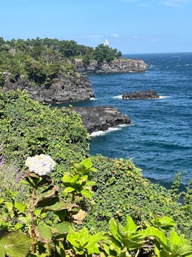 ニューヨークランプミュージアム＆フラワーガーデンに投稿された画像（2024/9/27）