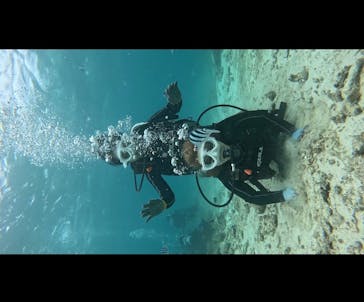 青の洞窟専門店　沖縄ダイビングショップ和に投稿された画像（2024/9/27）