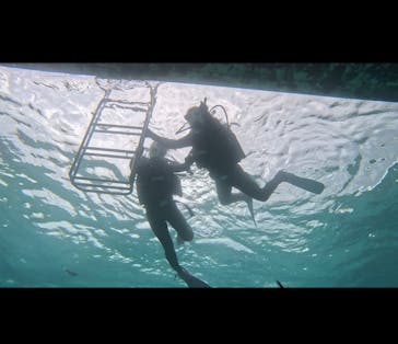 青の洞窟専門店　沖縄ダイビングショップ和に投稿された画像（2024/9/27）