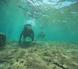 沖縄マリンサービス碧に投稿された画像（2024/9/27）