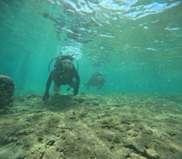 沖縄マリンサービス碧に投稿された画像（2024/9/27）