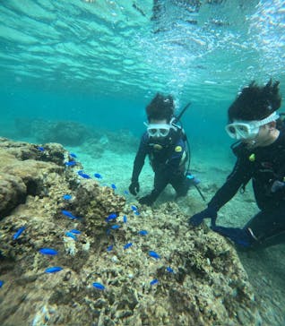 沖縄マリンサービス碧に投稿された画像（2024/9/27）