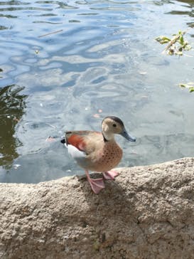 神戸どうぶつ王国に投稿された画像（2024/9/27）
