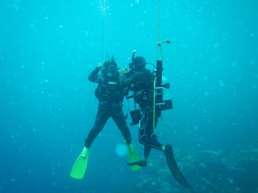 マリンショップtaitaiに投稿された画像（2024/9/27）