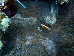 マリンショップtaitaiに投稿された画像（2024/9/27）