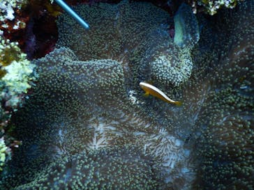 マリンショップtaitaiに投稿された画像（2024/9/27）