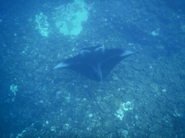 マリンショップtaitaiに投稿された画像（2024/9/27）