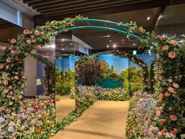 モネ＆フレンズ・アライブに投稿された画像（2024/9/27）