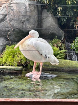 横浜・八景島シーパラダイスに投稿された画像（2024/9/27）