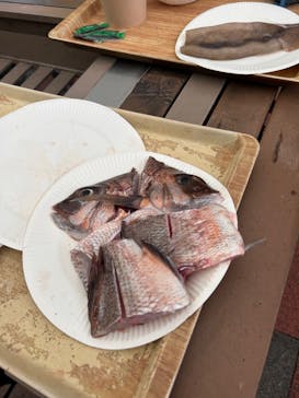 横浜・八景島シーパラダイスに投稿された画像（2024/9/27）