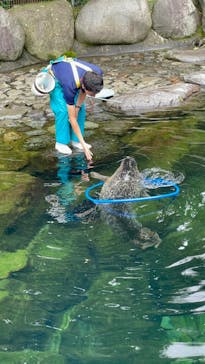 箱根園水族館に投稿された画像（2024/9/27）
