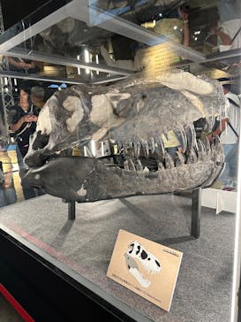 福井県立恐竜博物館に投稿された画像（2024/9/26）