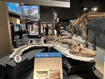 福井県立恐竜博物館に投稿された画像（2024/9/26）
