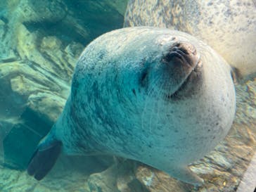 京都水族館に投稿された画像（2024/9/27）