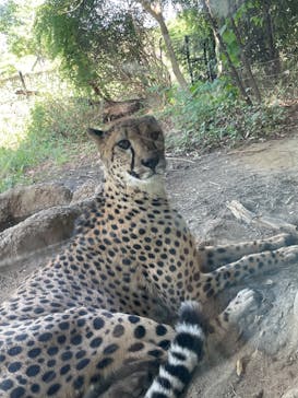 よこはま動物園ズーラシアに投稿された画像（2024/9/27）