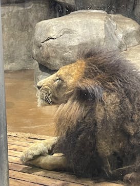 よこはま動物園ズーラシアに投稿された画像（2024/9/27）