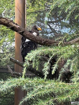 よこはま動物園ズーラシアに投稿された画像（2024/9/27）