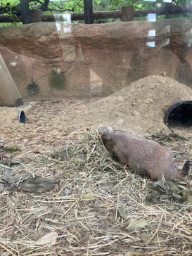 名古屋市東山動植物園に投稿された画像（2024/9/27）