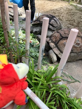 名古屋市東山動植物園に投稿された画像（2024/9/27）