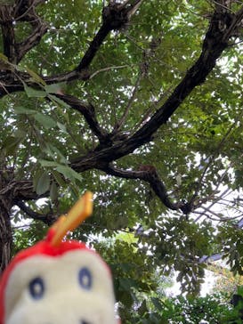 名古屋市東山動植物園に投稿された画像（2024/9/27）