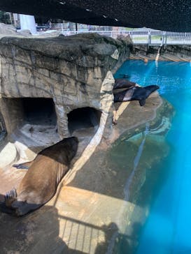 名古屋市東山動植物園に投稿された画像（2024/9/27）