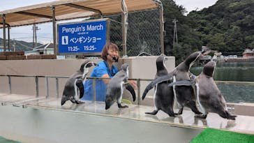 下田海中水族館に投稿された画像（2024/9/27）