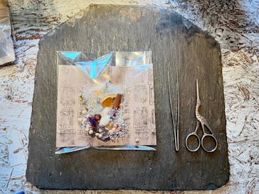 ドライフラワーと暮らしのお店 その灯ぐらし 猫洞店に投稿された画像（2024/9/27）