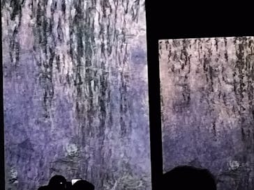 モネ＆フレンズ・アライブに投稿された画像（2024/9/27）