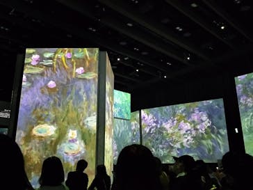 モネ＆フレンズ・アライブに投稿された画像（2024/9/27）