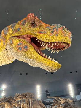 福井県立恐竜博物館に投稿された画像（2024/9/27）