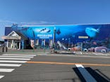越前松島水族館に投稿された画像（2024/9/27）