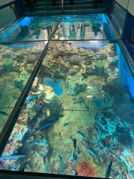 越前松島水族館に投稿された画像（2024/9/27）