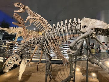 福井県立恐竜博物館に投稿された画像（2024/9/27）