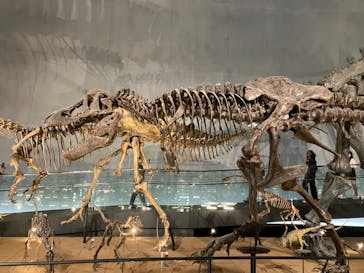 福井県立恐竜博物館に投稿された画像（2024/9/27）