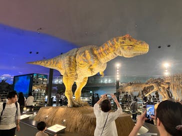 福井県立恐竜博物館に投稿された画像（2024/9/27）