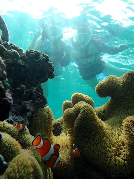 nico 宮古島に投稿された画像（2024/9/27）