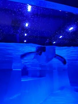 AOAO SAPPOROに投稿された画像（2024/9/28）