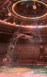 マクセル アクアパーク品川に投稿された画像（2024/9/28）