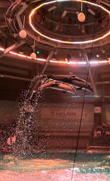 マクセル アクアパーク品川に投稿された画像（2024/9/28）