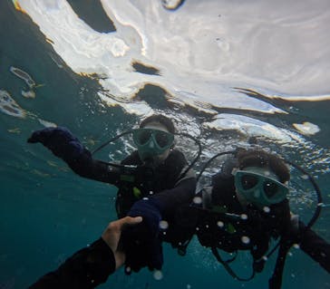 沖縄マリンサービス碧に投稿された画像（2024/9/28）