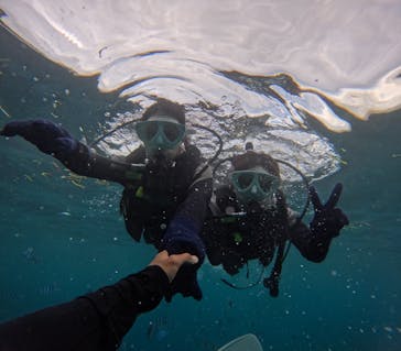 沖縄マリンサービス碧に投稿された画像（2024/9/28）