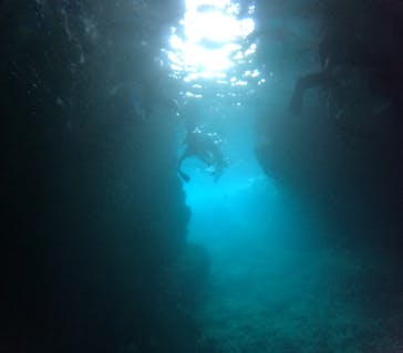 沖縄マリンサービス碧に投稿された画像（2024/9/28）