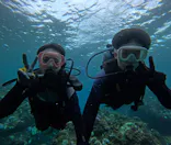 武藤潜水に投稿された画像（2024/9/28）